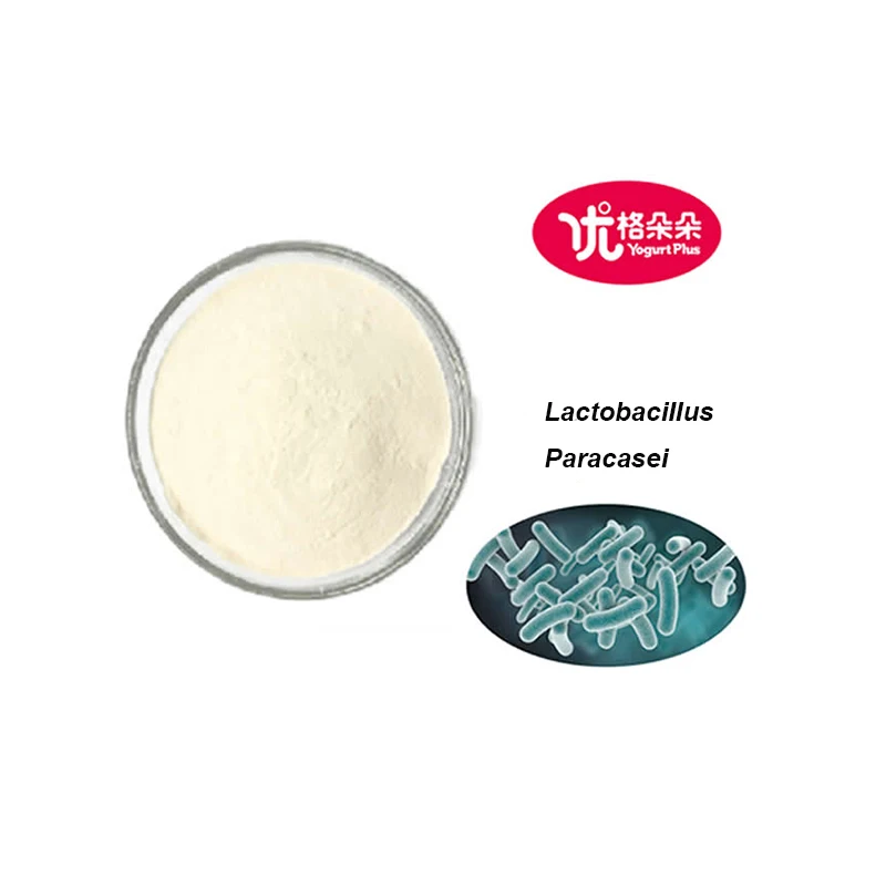 Freeze-dried Lactobacillus Paracasei 100 Billion CFU/g