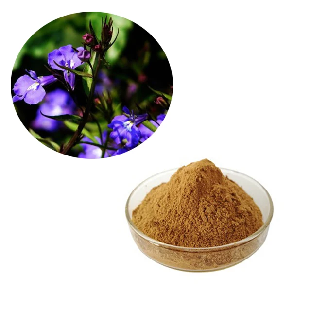 Barbed Skullcap Herb Extract Powder 10:1 TLC Scutellaria barbata powder