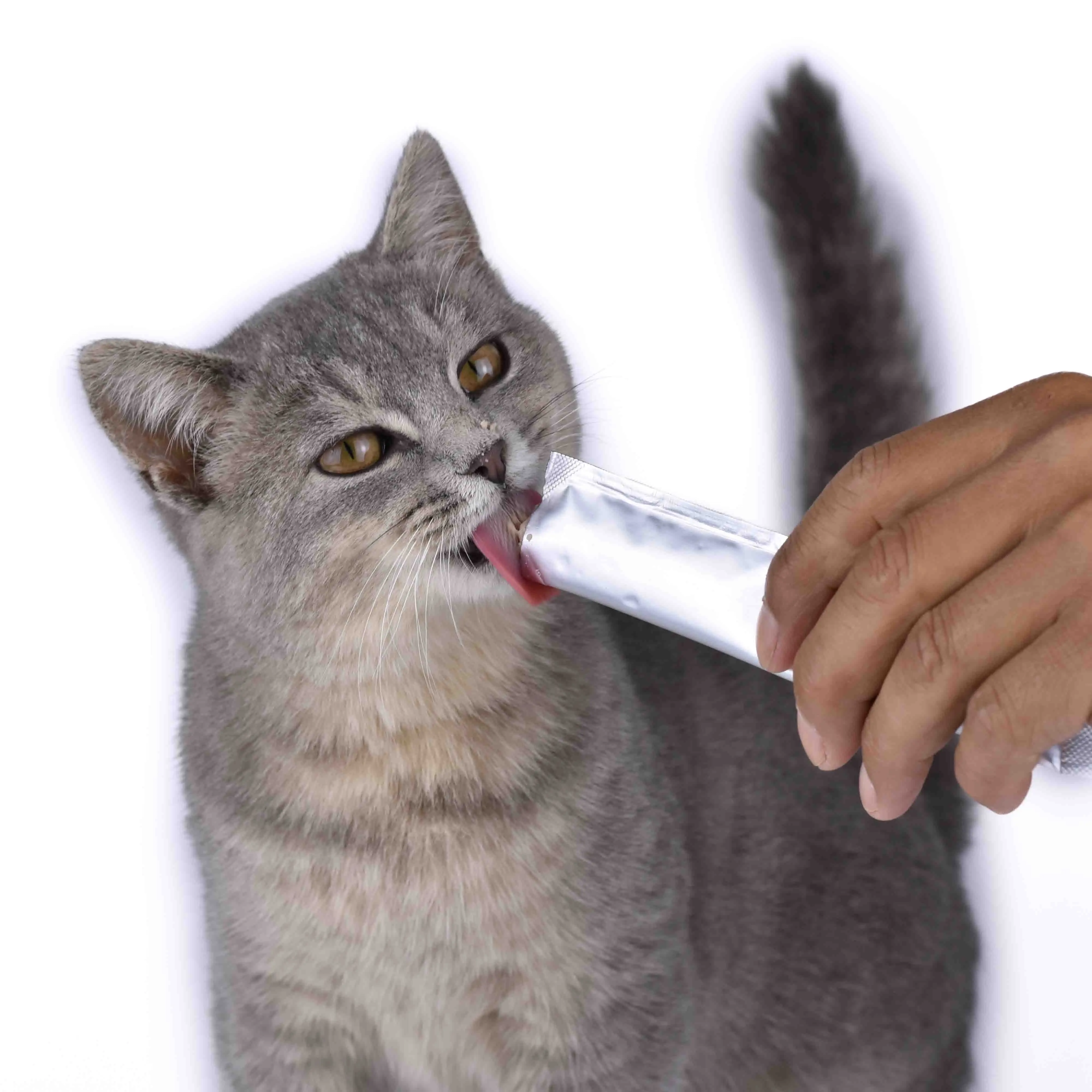 Amazon OEM ODM factory wholesale high-quality 100 natural chicken formula pet cat strips