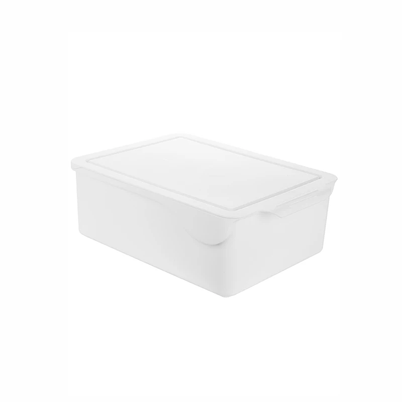 2021 Fiducia Amazon Hot Sale Plastic Wardrobe storage box with cover underwear Bra Socks compartment organization storage bin