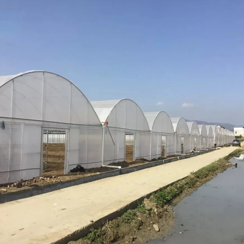 Good quality durable factory customized uv resistant agricultural film greenhouse