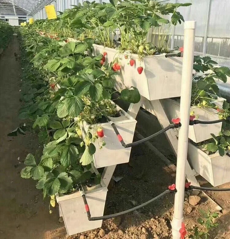  Оптовая продажа ПВХ гидропонный большой желоб для клубничного выращивания