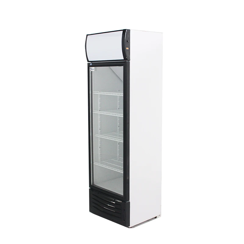 Commercial Single-Temperature Pepsi Drink Display Refrigerator 2-Door Glass Door Cooler for Supermarket Meat Store Applications