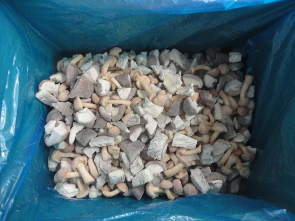 supply BRC certified IQF frozen oyster mushroom dice good quality hot sale