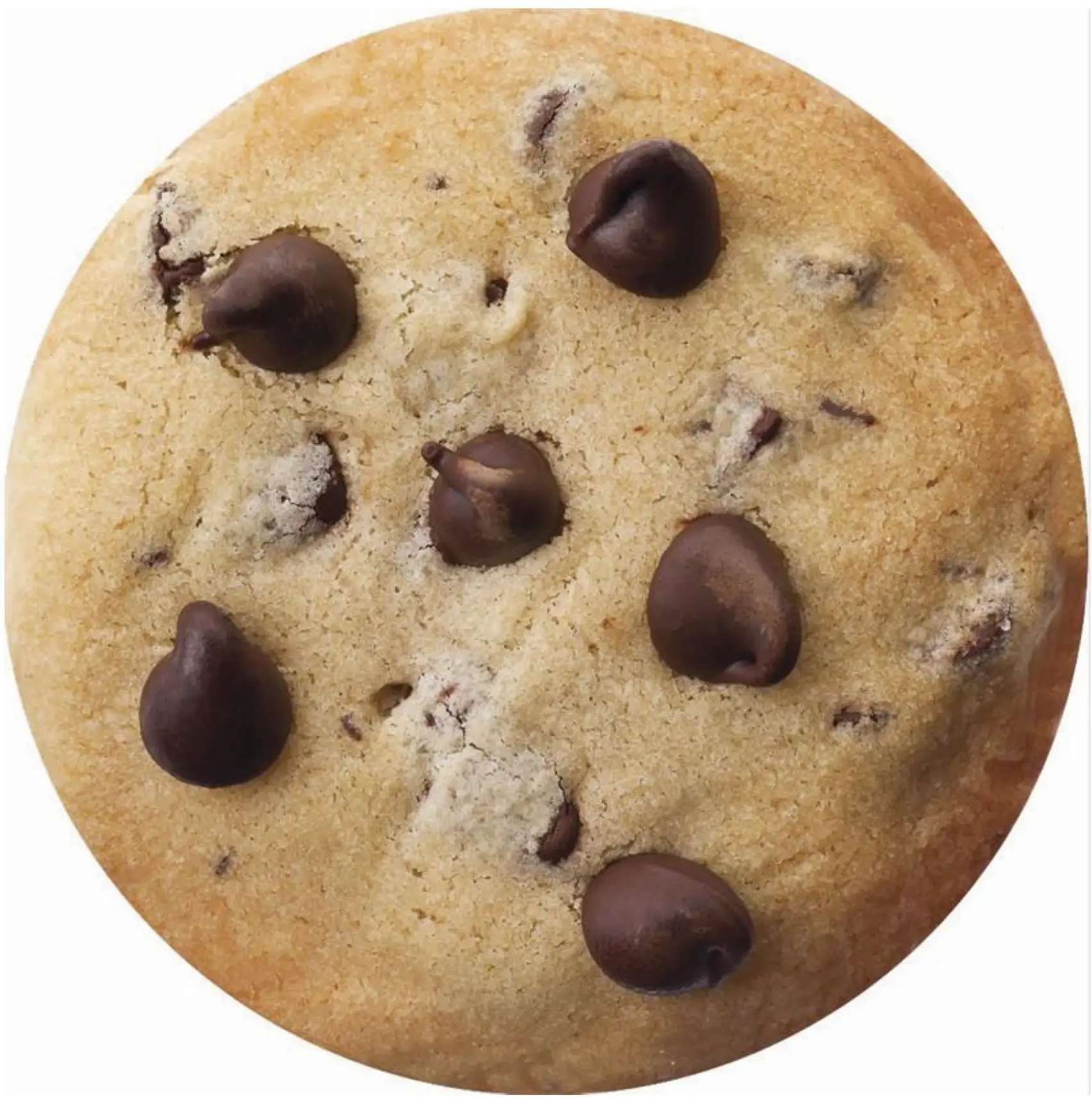 Wholesale blankets burrito tortilla round adult baby winter throws giant loaded pizza blanket 2.0 80 inches for home