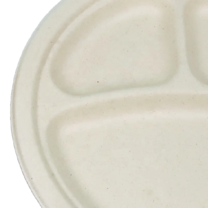 Biodegradable Platonic sucrose bagasseDisposable restaurant sugarcane plates