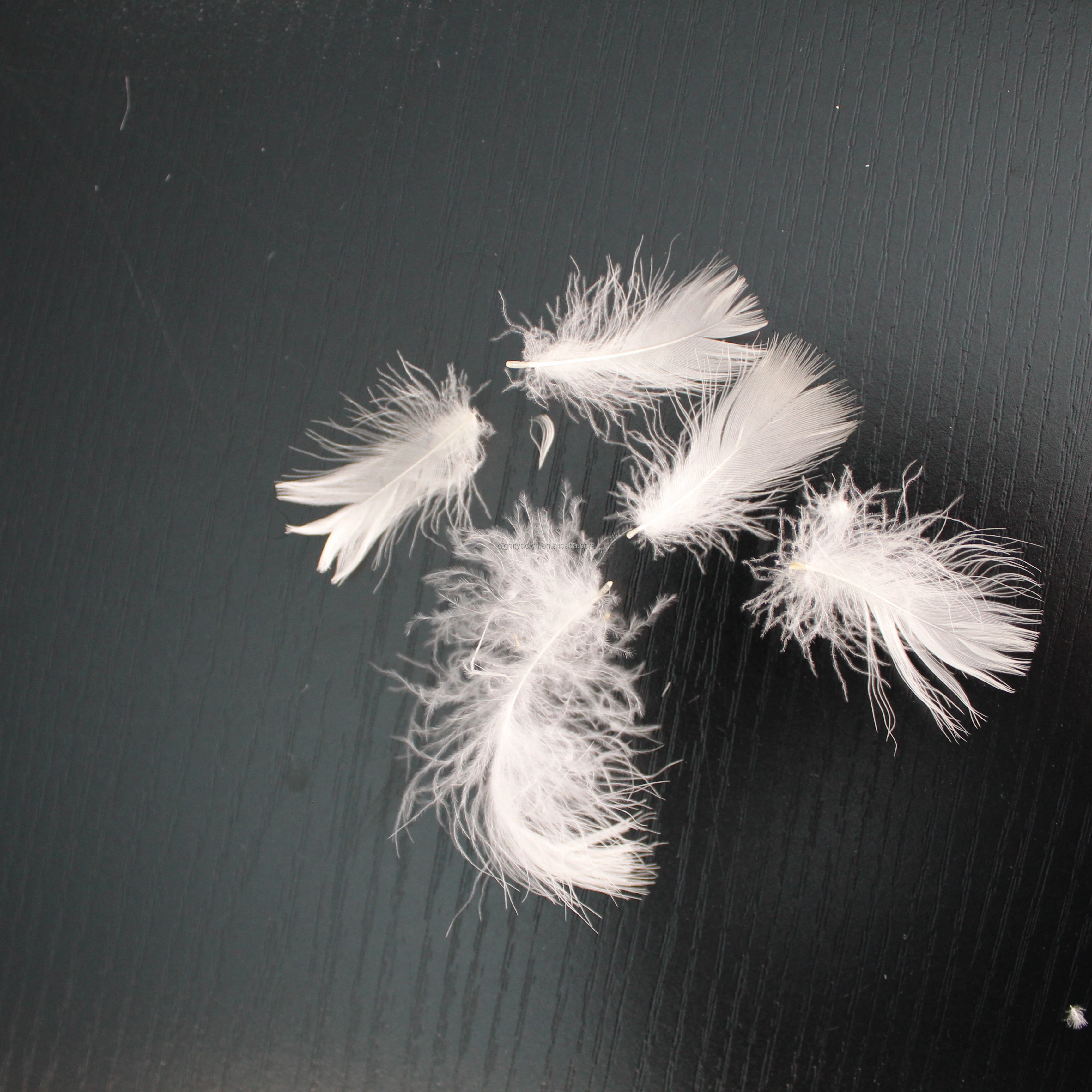 DIGNITY BRAND 4-6cm High Quality Lightweight Bulk GOOSE Materials Washed White GOOSE Feather White Feather