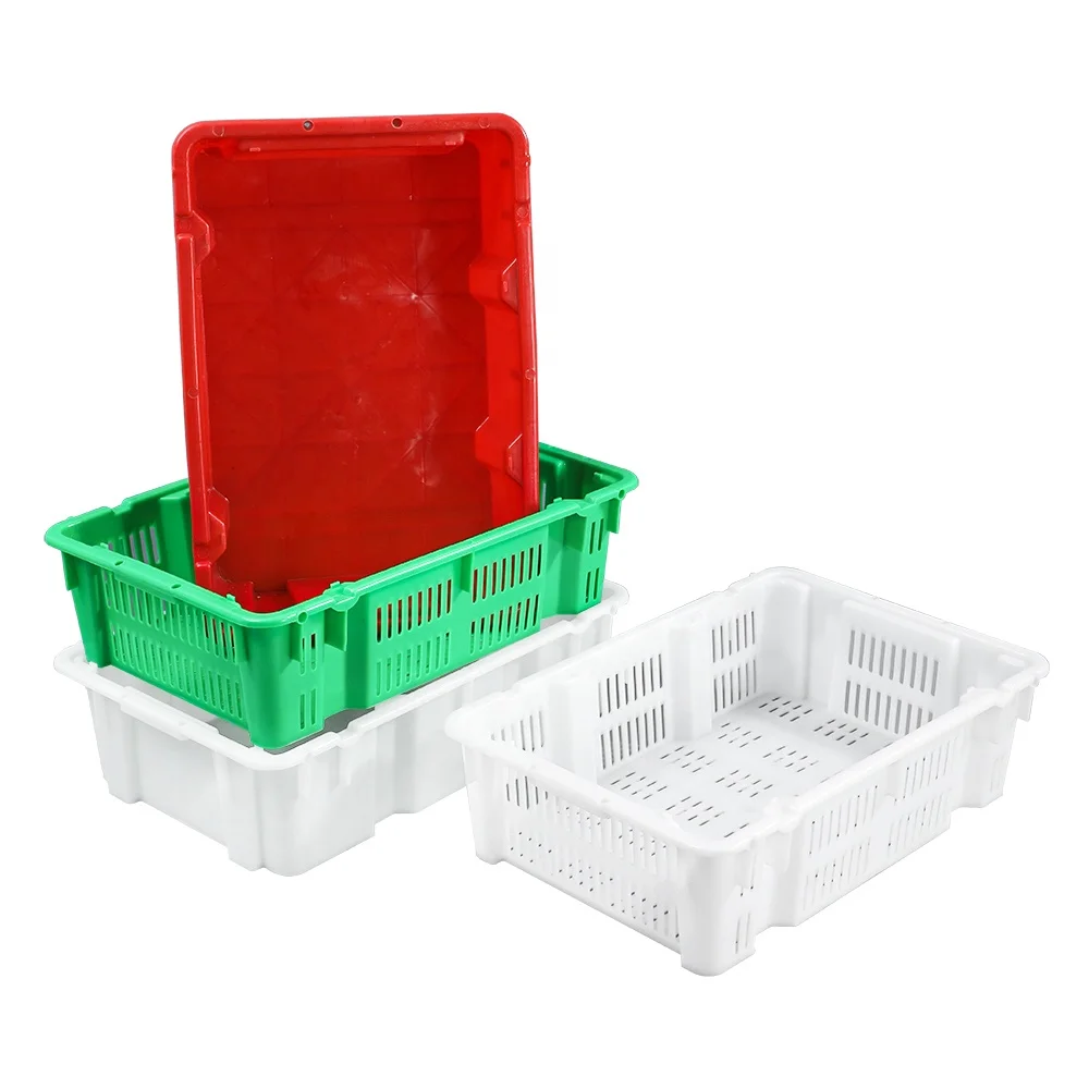 Manufacturer PP polypropylene various sizes nestable and stackable plastic crate for lobster / Shellfish / fish / meat