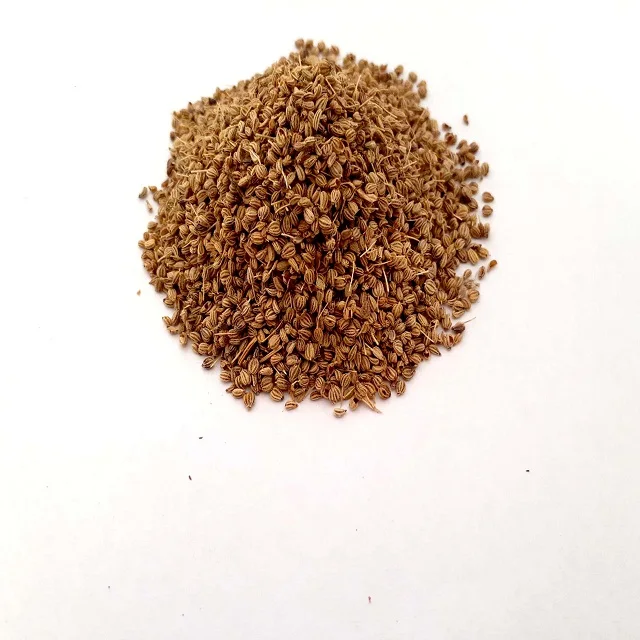 Ajwain Seed (Kani) - Trachyspermum Ammi Seed Fight Bacteria And Fungi Carom Seeds Have Powerful Antibacterial And Antifungal