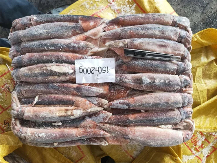 Морской замороженный кальмар illex для рыболовной приманки