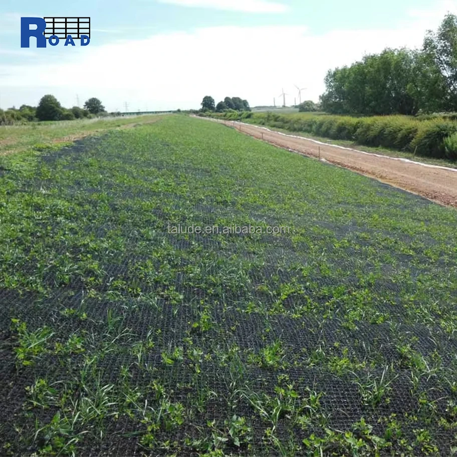 Grass Drainage Mat for Turf Reinforcement and 3D Geomat Erosion Control