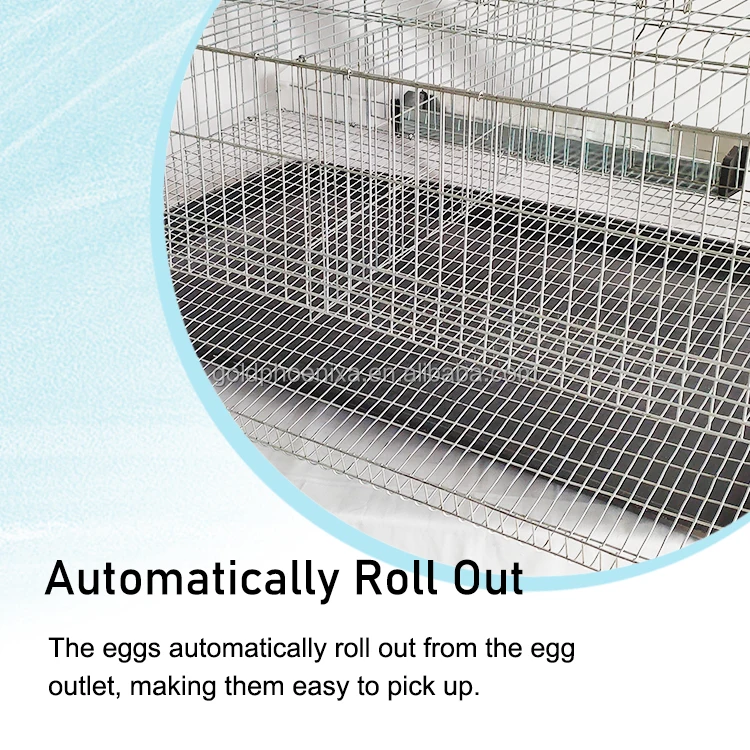 YYC full set automatic feces clearing and egg rolling chick quail breeding cage