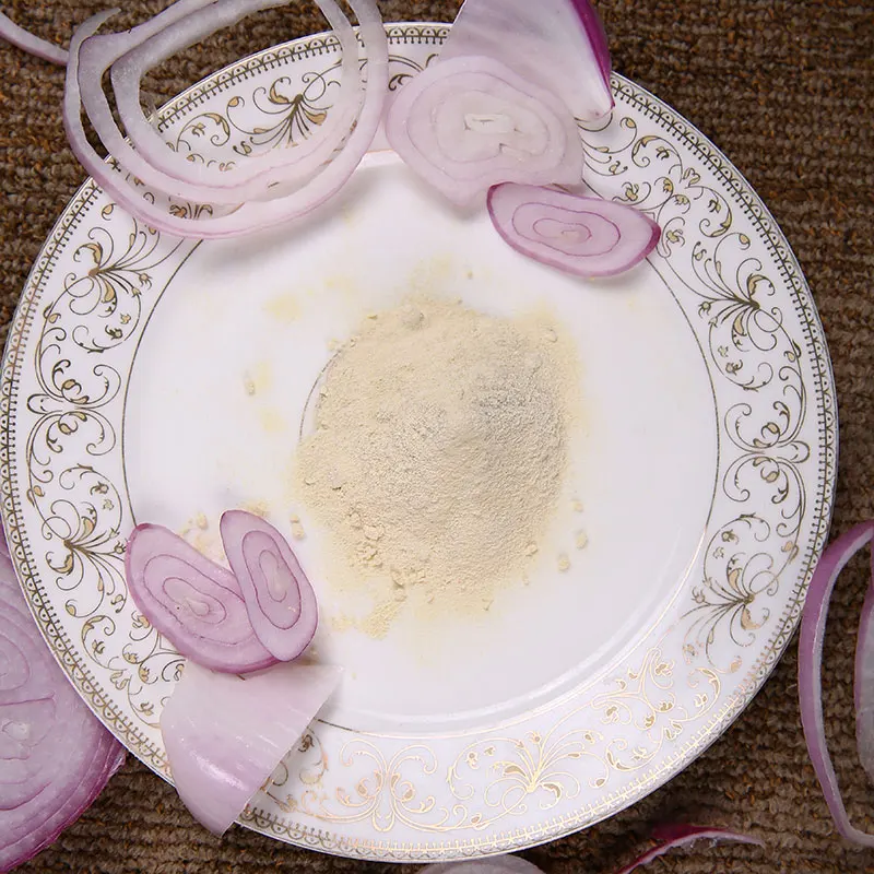 China Onion Original Factory Manufacturer Supply 100 meshes Dried Onion Powder with High Quality