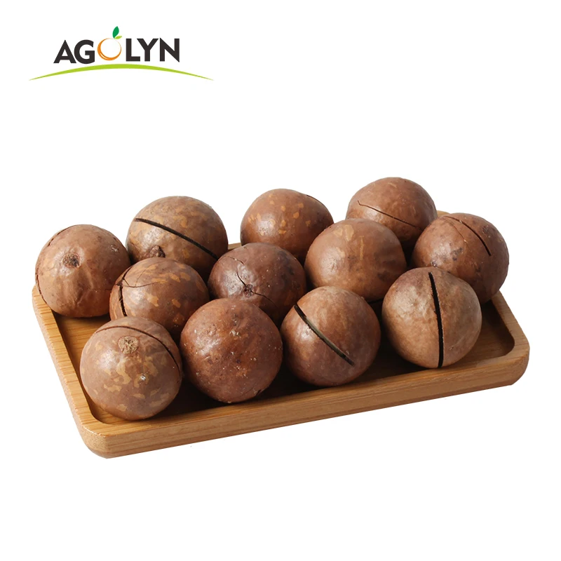 Agolyn best price and quality raw roasted macadamia nuts