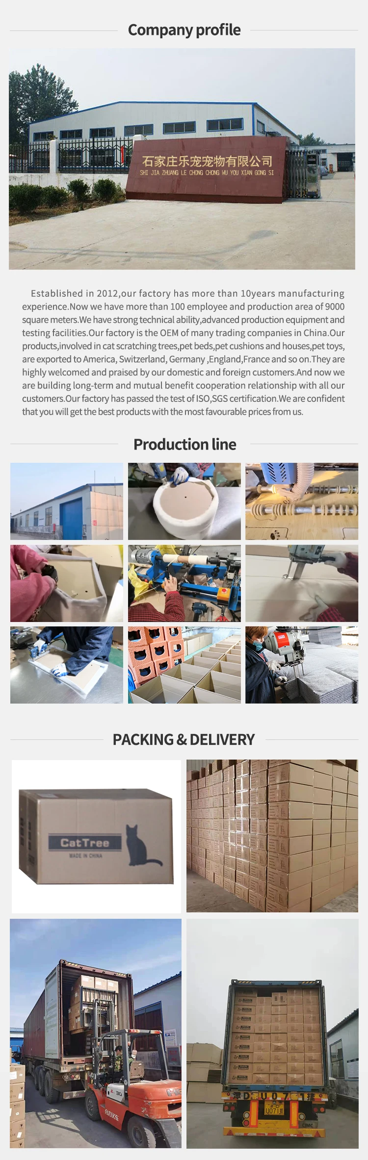 cat climbing tree wooden