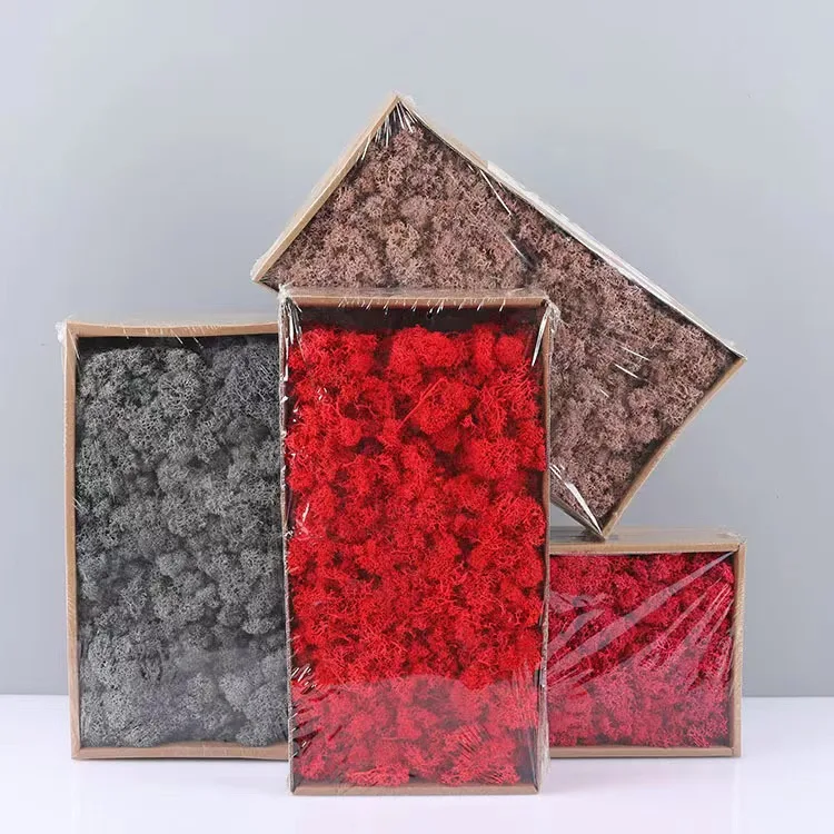 Hot Selling Stabilized Preserved Lichen Reindeer Moss for decoration flower wall Preserved  Moss