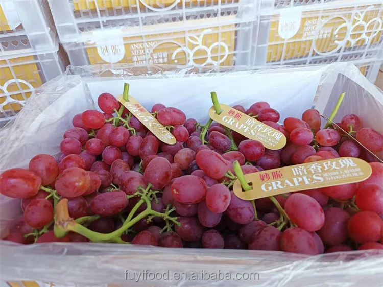 Fresh High Quality Export Supplier Fresh Red Globe Grapes