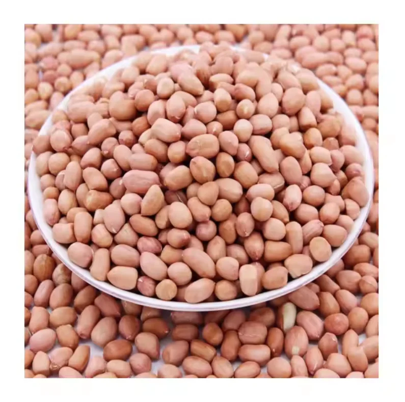 Buyers Wholesale Jumbo Raw Peanuts High Quality Natural Bold Blanched Peanuts Kernels