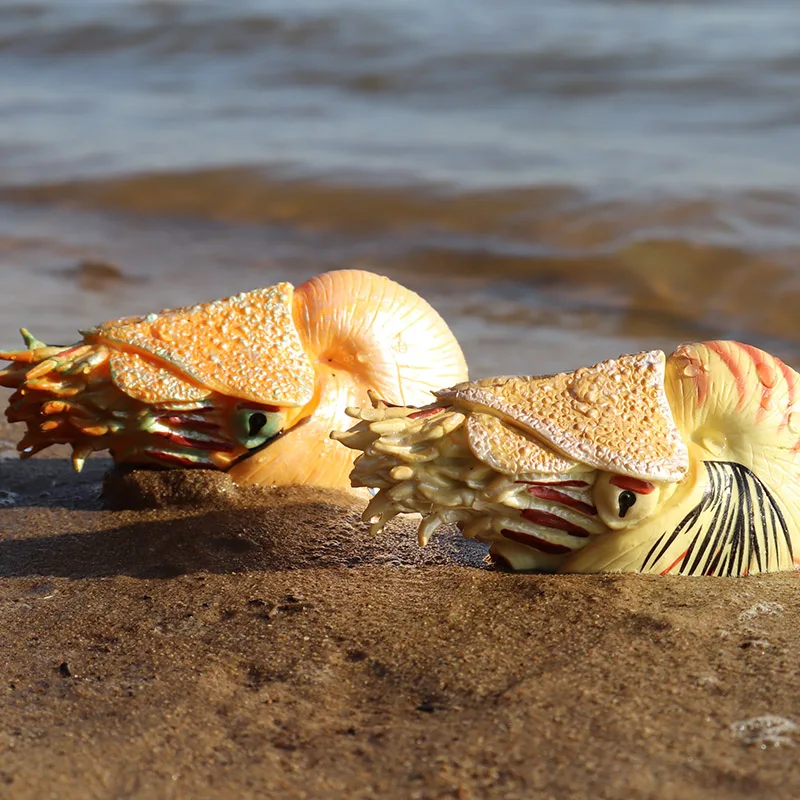Oenux Wholesale Simulation Ocean Animal Action Figures Sea Life Crab Nautilus Shrimp Squid Model Figurines Education Gift Toy