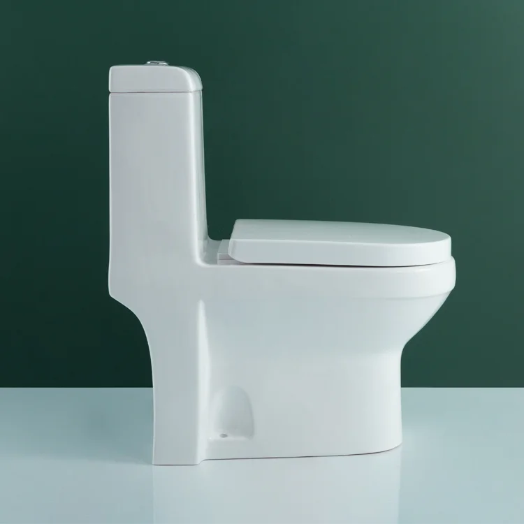 WDSI Bathroom Water Closet Set Dry Toilet Toilets Elongated
