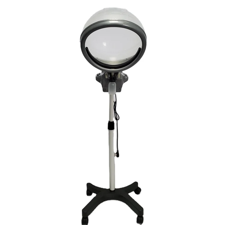 Professional Made Hairdressing Equipment 220V Micro Mist Hair Steamer For Hair Salon