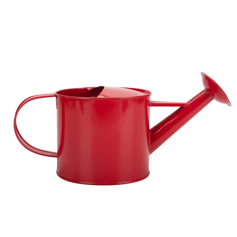 Сад украшенный оцинкованная сталь в винтажном стиле порошок coatedn цветочный горшок дешевый растения металлического Лейка