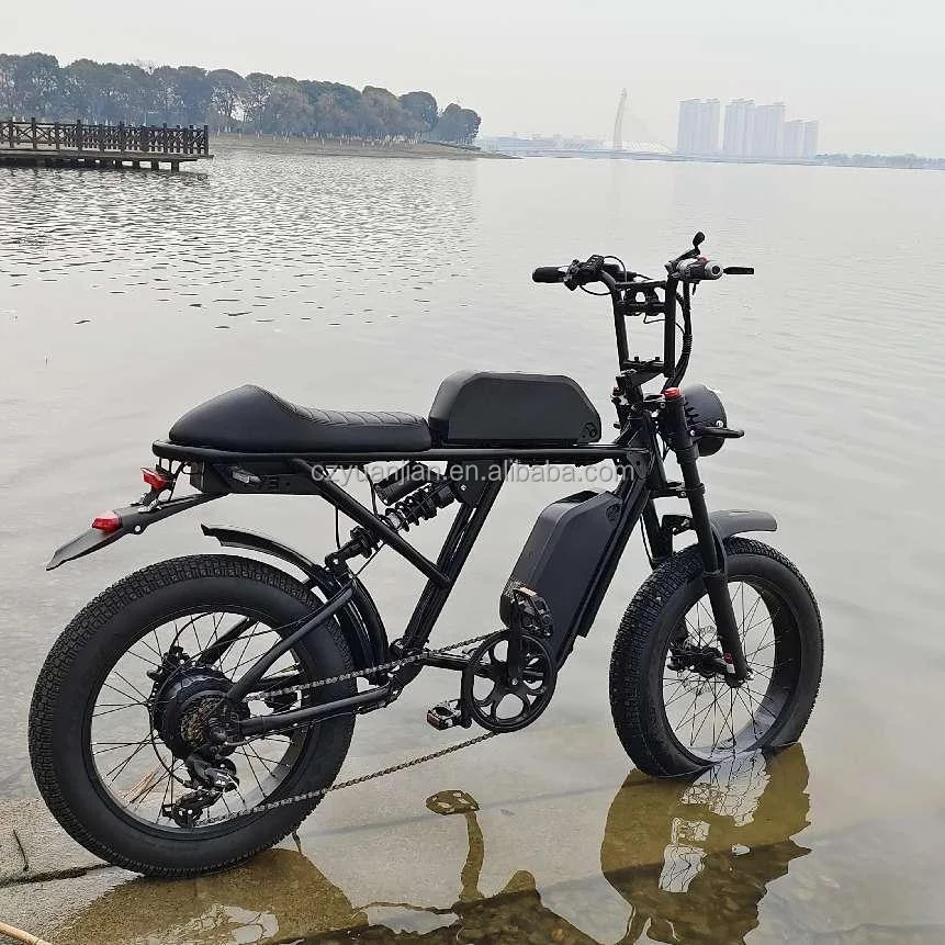 20 Inch Electric Bike Vintage E-bike 48v 750w Super Bikes 73 Style long seat Electric Bicycle