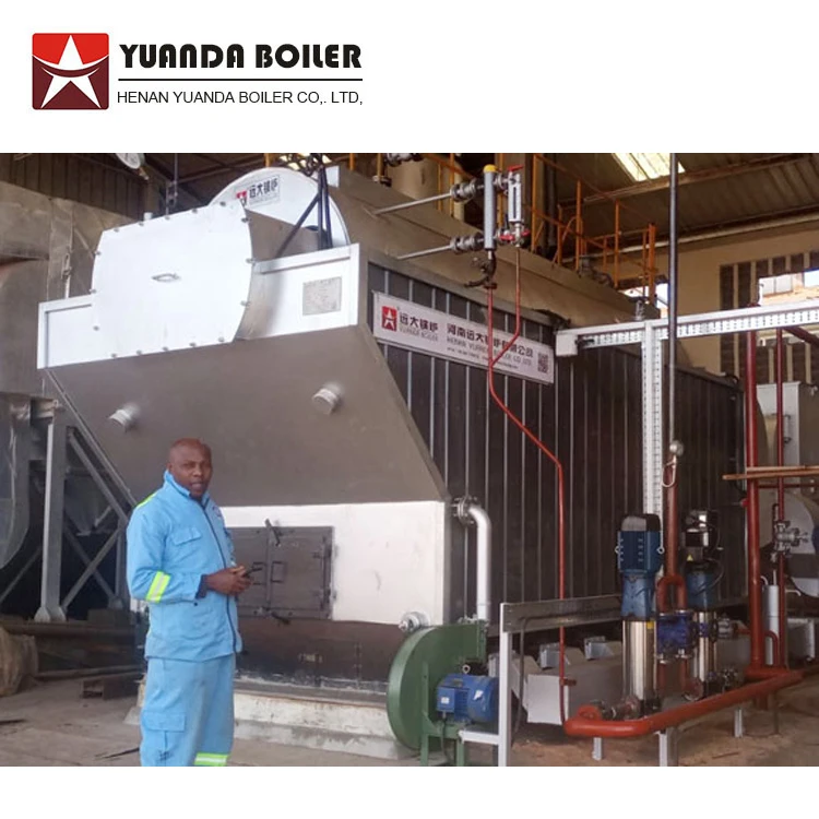 Manual Hand Operation DZH 1t 2t 3t 4t 5t 6t Wood Coal Firewood Log Waste Fired Steam Boiler for sale