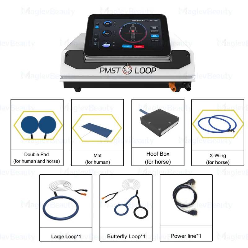 Professional PEMF Mat Magnetic Physical Therapy System For Human Body Pain Recovery Horse Rehabilitation Equip Physical Therapy
