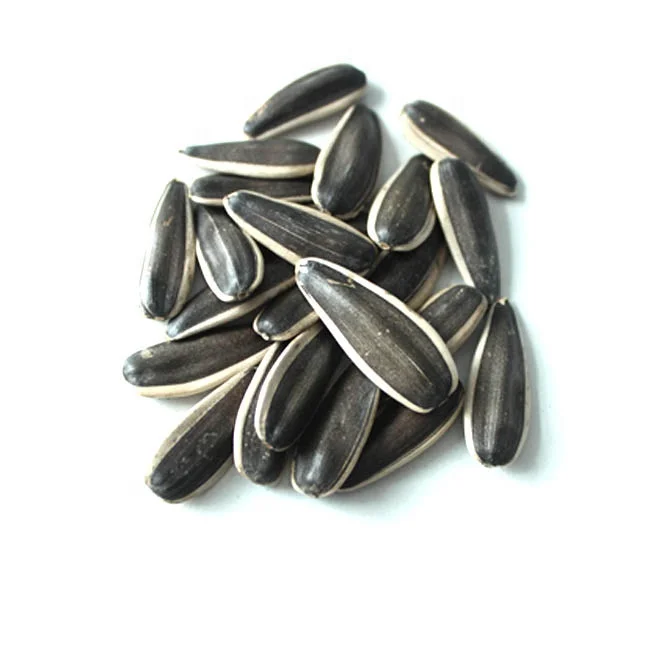 Wholesale High Quality Raw Agricultural Sunflower Raw Seeds Cheap Organic Sunflower Seeds
