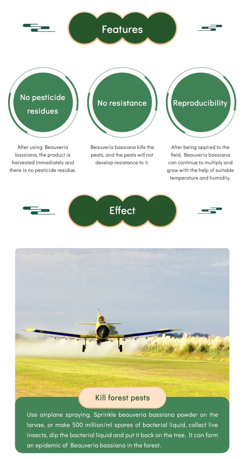 Better Kill Pests Powder 5 Billion Beauveria Bassiana For Plant Growth Feed Vitamin a Powder