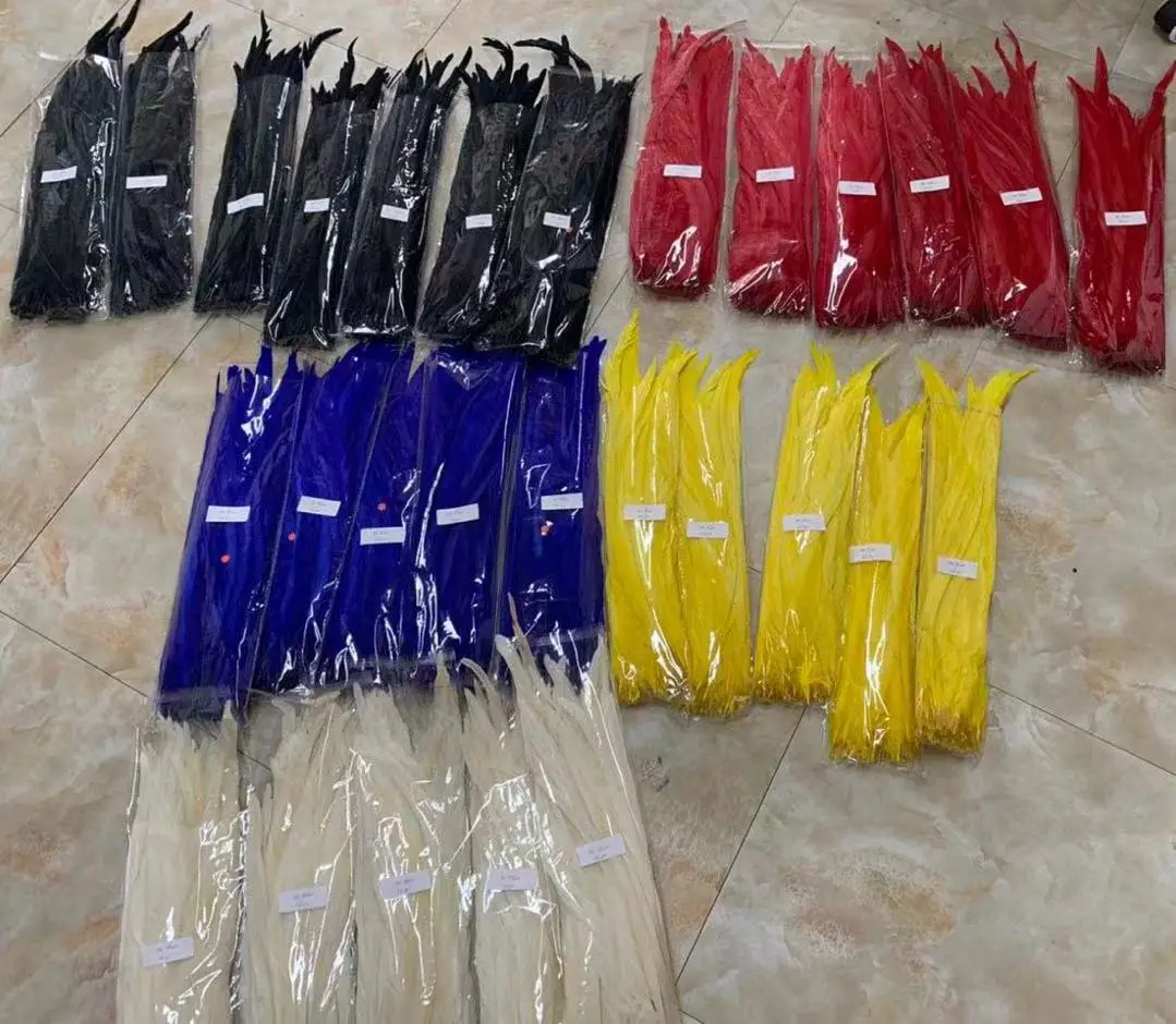 ZSY Factory Wholesale Selected 40-45 cm Bleached Dyed Rooster Tail Feathers for Carnival Costume and Samba Dance