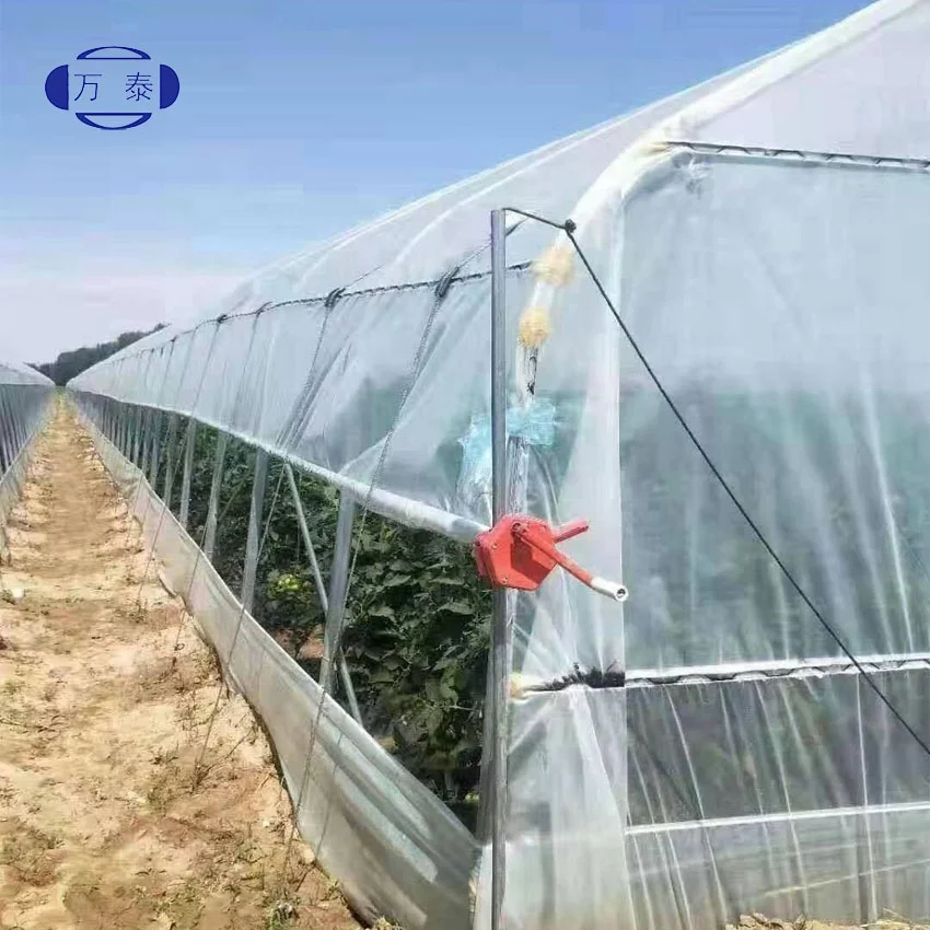 Factory price PO Film Single Span Greenhouse For Agriculture Easy Installation