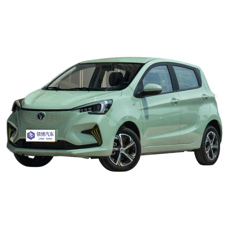 Best Selling Low Price Spot Changan Benben E-Star 2024 Colorful 310KM Lithium Iron Phosphate Pure Electric FWD Hatchback