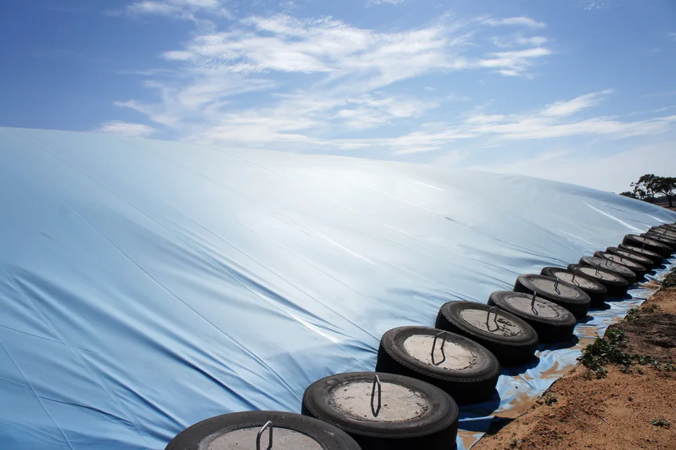 Agriculture Protective Film Powder Coating Black and White For Plastic Silage Cover