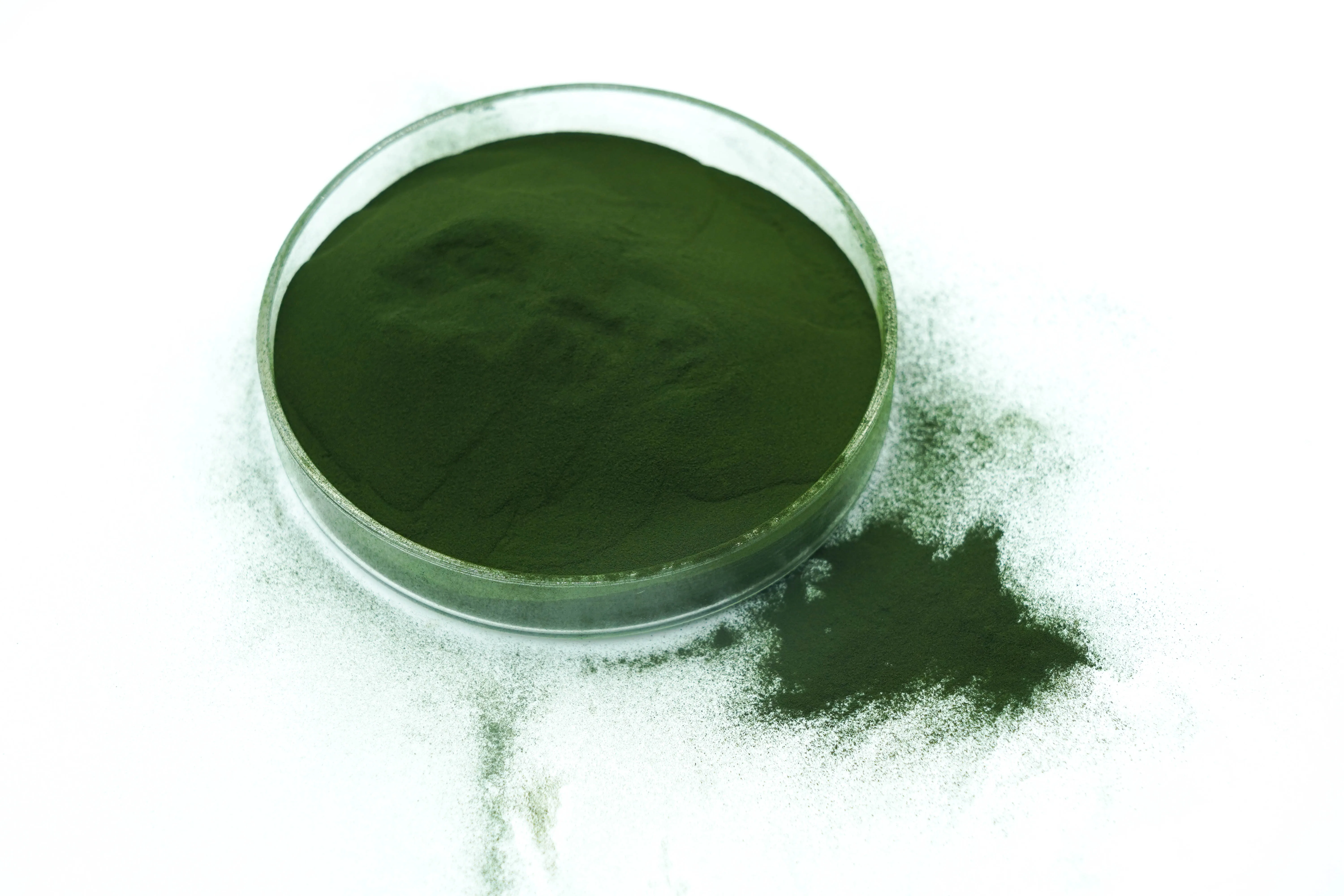 Food grade organic chlorella powder chlorella tablets