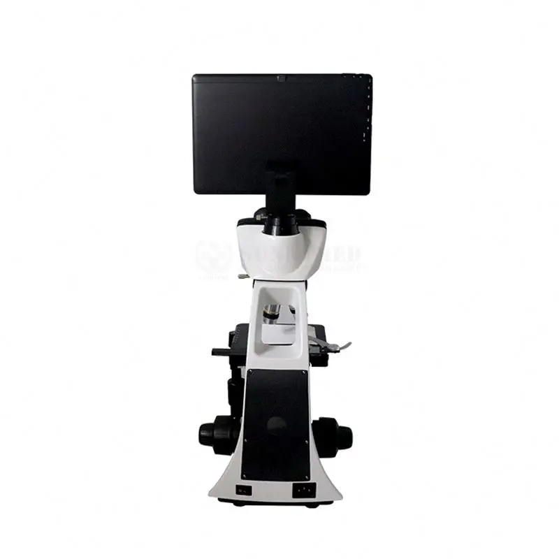 SY-B129F2 High Quality China Microscope Biological Laboratory Magnification 40X-1000X Binocular