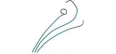 angiography-tube.jpg