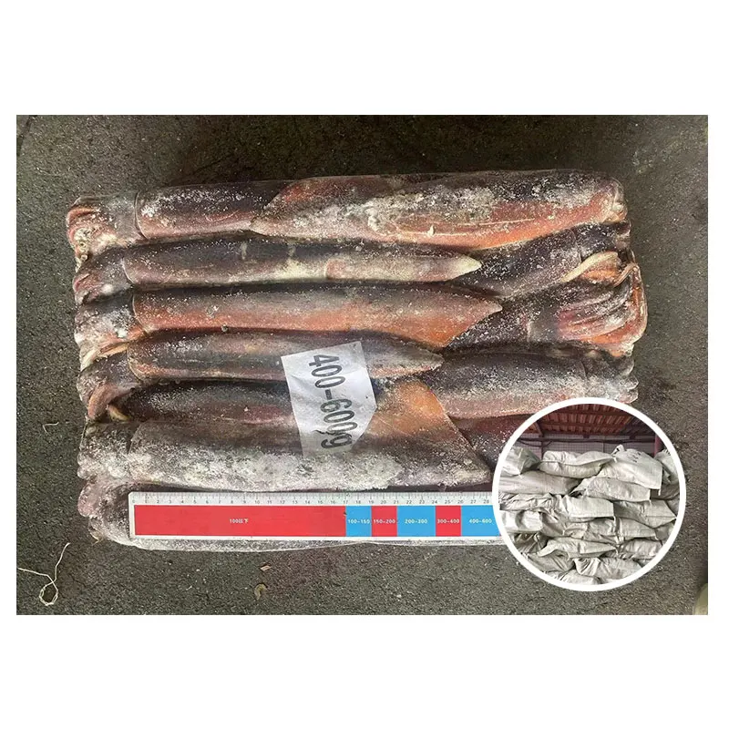 New Arrival Sea Frozen Whole Squid 400-600g Frozen Illex Argentina Squid