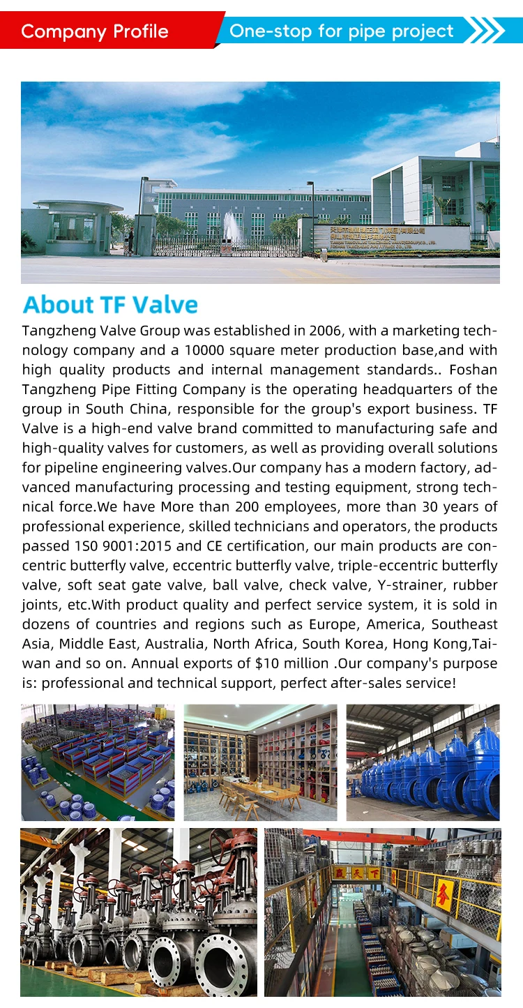 TF ANSI 150LB 304 316 Stainless Steel JIS Pn16 Cast Iron High Temperature Worm Wheel Manual Soft Seal Flanged Butterfly Valve