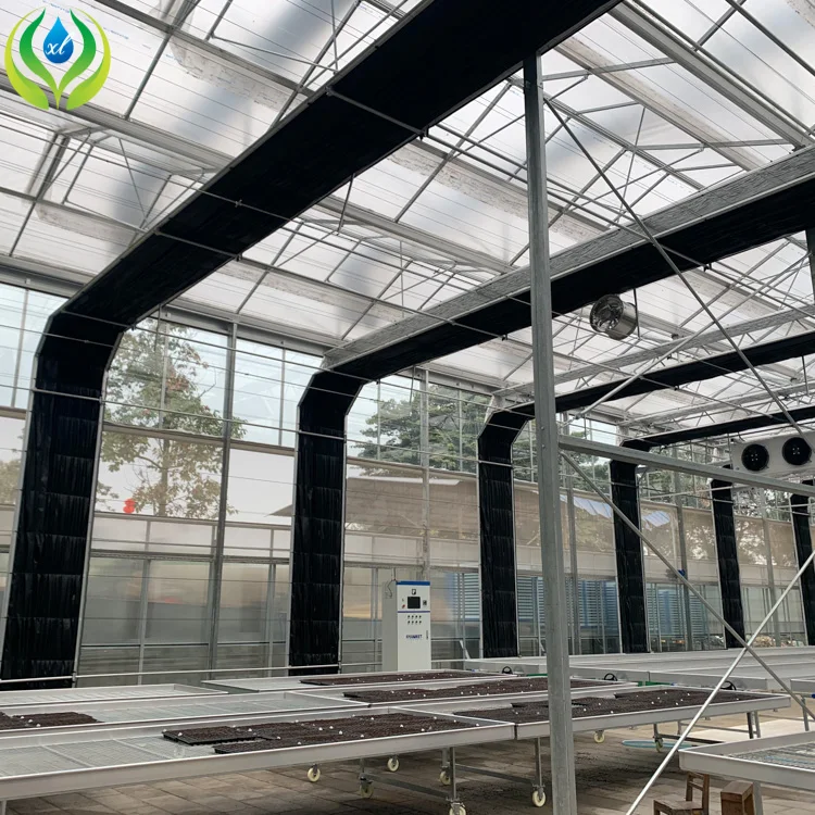 Agriculture 8 X 12m Clear Roof Tent Galvanized Steel Frame Light Deprivation Greenhouse