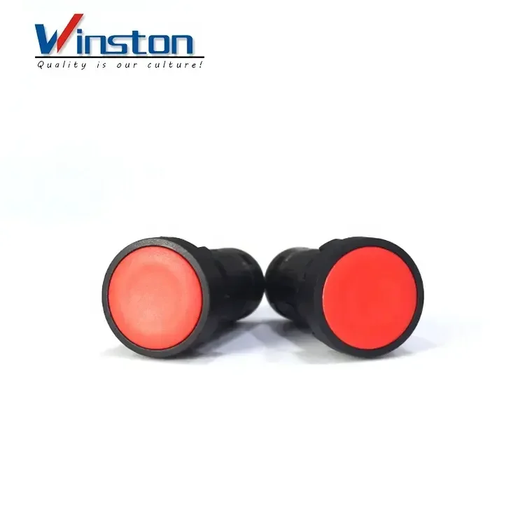 Self-locking Push button switch 22MM flat button 2contact