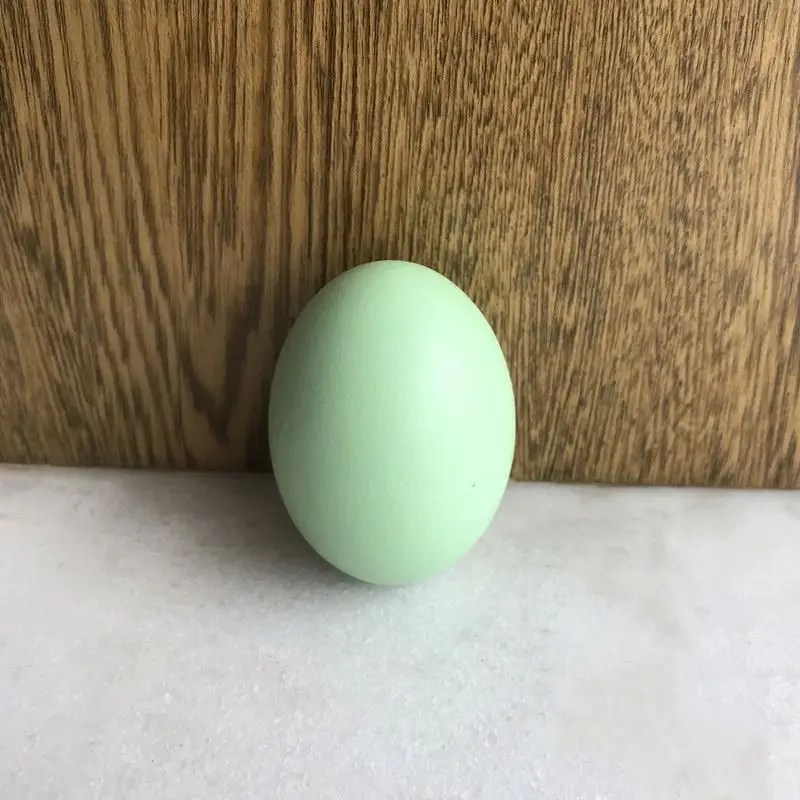 
No. 1 High quality easter eggs wooden decoration and wholesale low price carved wooden wobble egg 