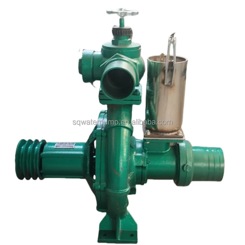 Agricultural irrigation high-lift and high-pressure sprinkler pump for Tanzania