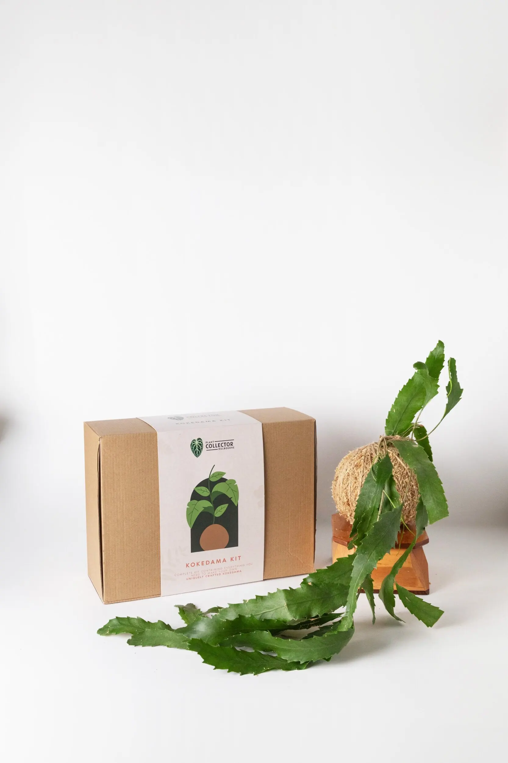 how to make moss Kokedama Kit with  Online Education kokedama plate gift for home garden lovers