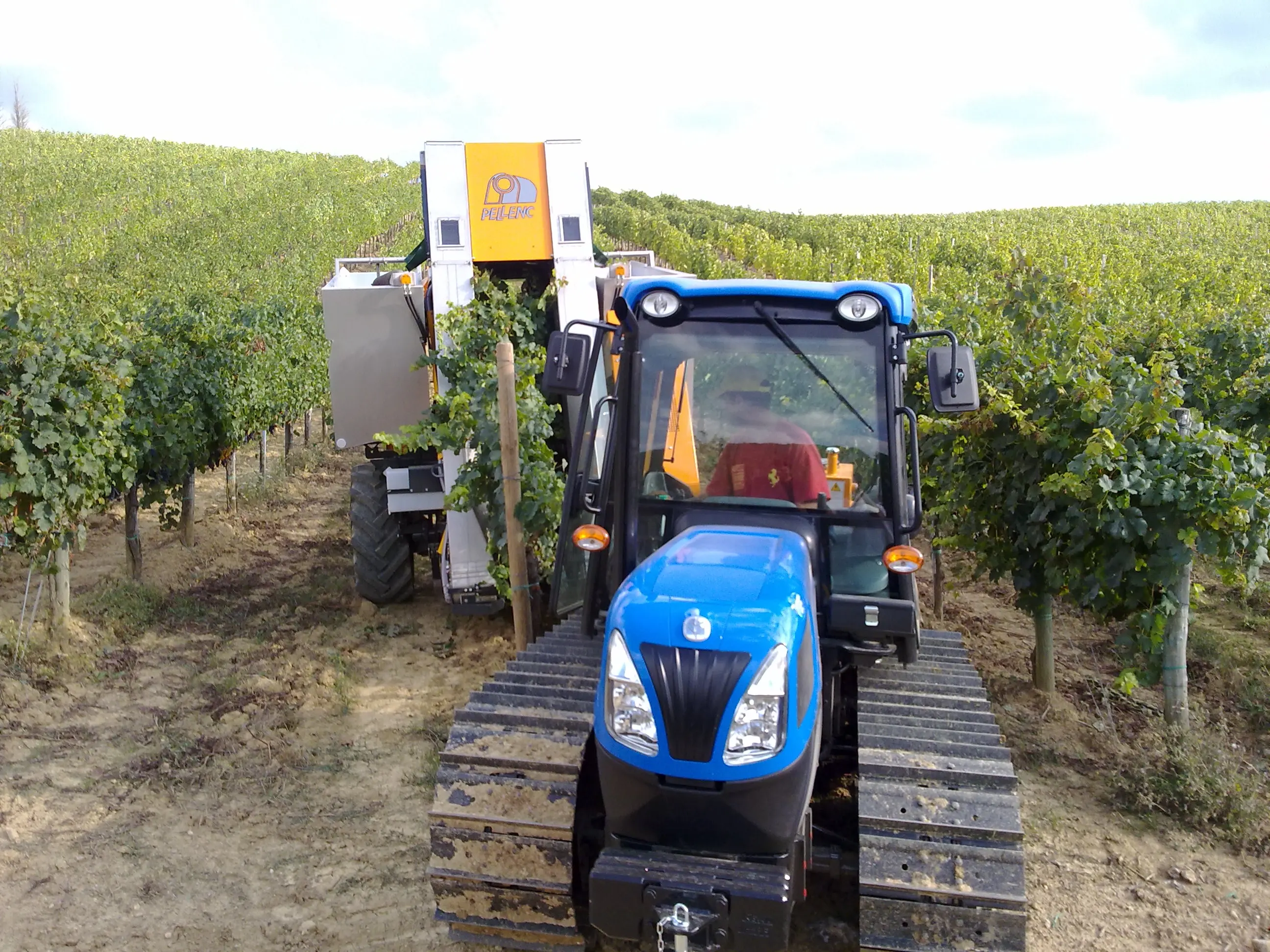 Top Sale Made In Italy Dessert Wine Type Of Ice Wine Medium Sweet  16,5 % Vol  With Excellent Taste