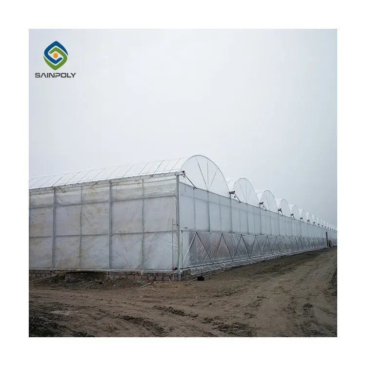Commercial Plastic Film Tunnel Greenhouse Galvanized Agriculture Transparent Greenhouse Tunnel Garden Greenhouse