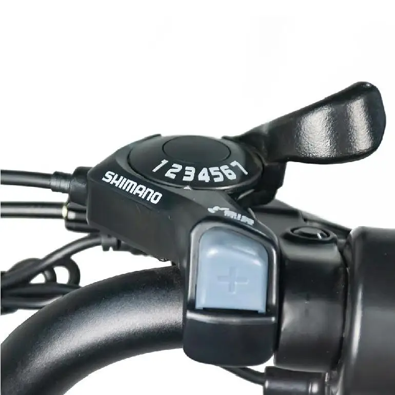 Manufacture 750w Electric Bicycle Lithium Battery Aluminum Frame 20inch Wheel Size Electric Mountain Bicycle Bike