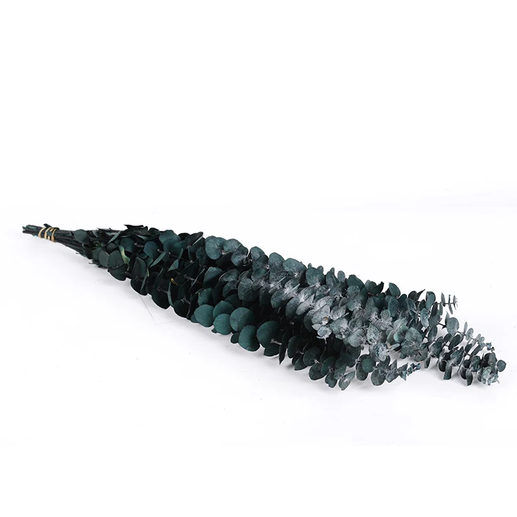 Preserved Fresh Eucalyptus Branches Dried Artificial Eucalyptus Stems for Wedding Home Decor