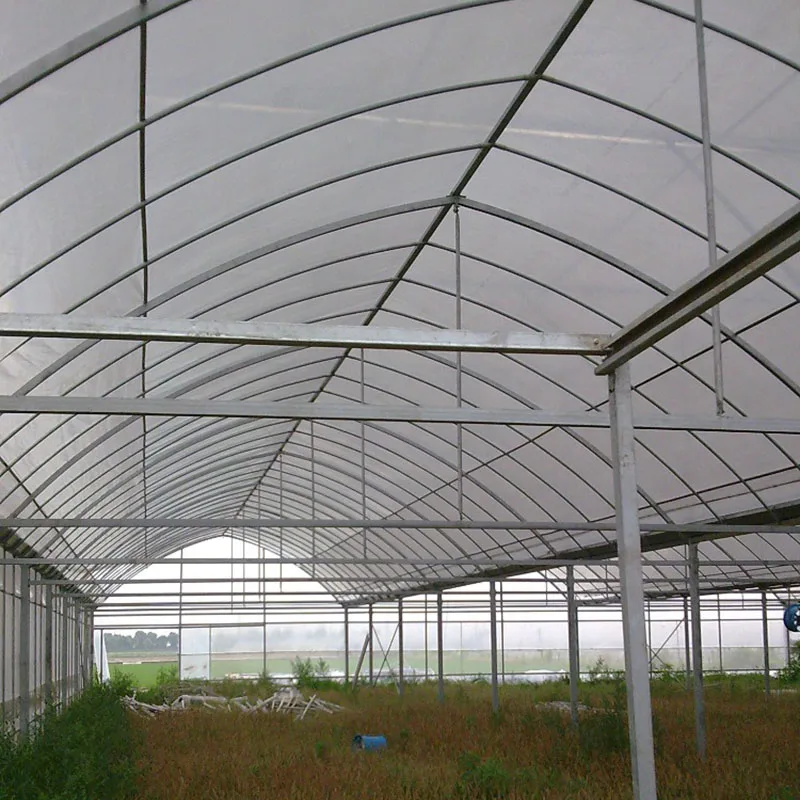 Agriculture Tomato Greenhouse Frames Plastic Film Single Span Tunnel Greenhouses for plant